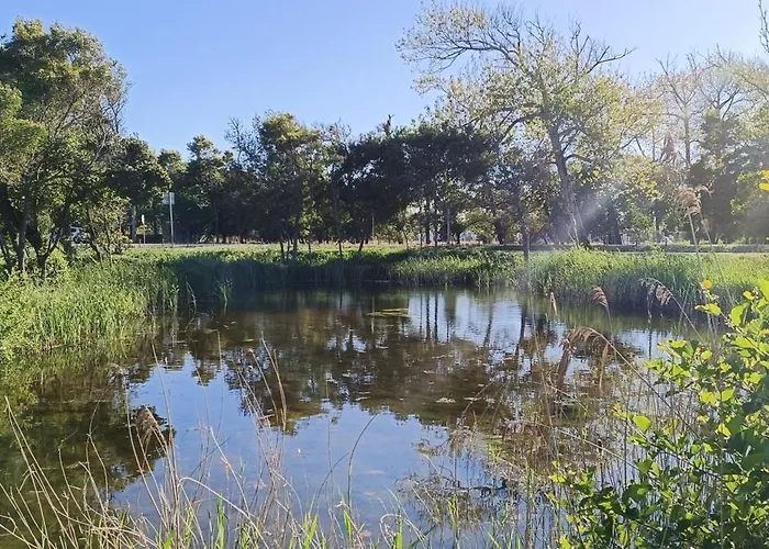 Апартаменты Boho *