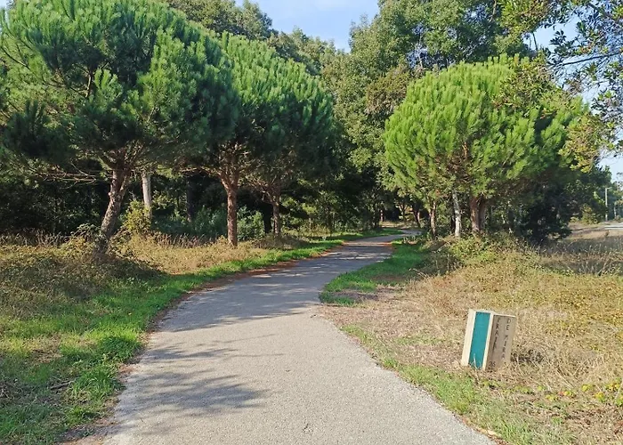 Boho Апартаменты