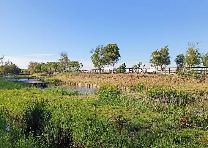Boho Lejlighed Praia de Mira